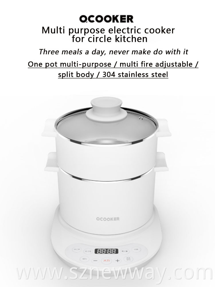 Ocooker Cooker